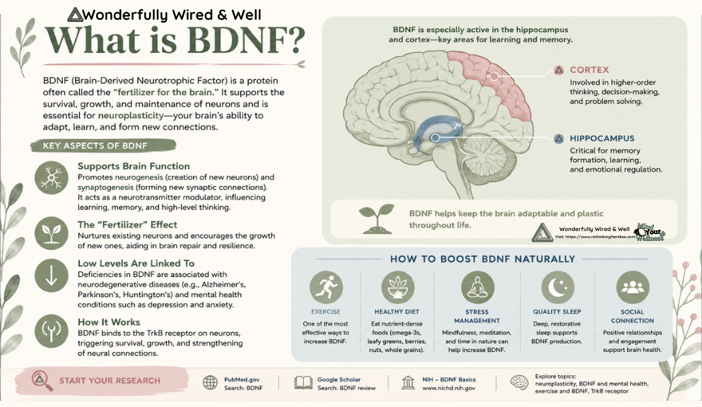 What is BDNF? for Wonderfully Wired & Well © copyright