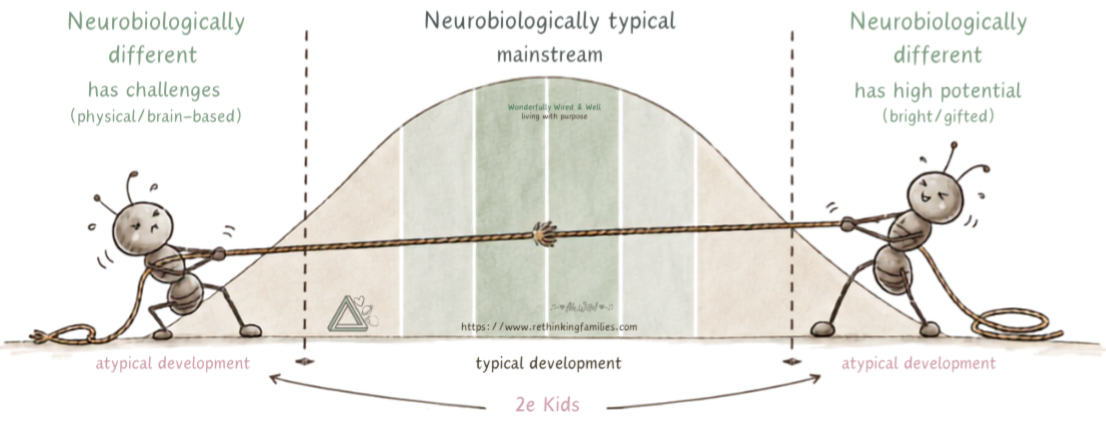 2e-ness 2e twice-exceptional spiky personality for Wired & Well © copyright Contact willa.truter@trusoft.co.za